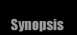 Synopsis